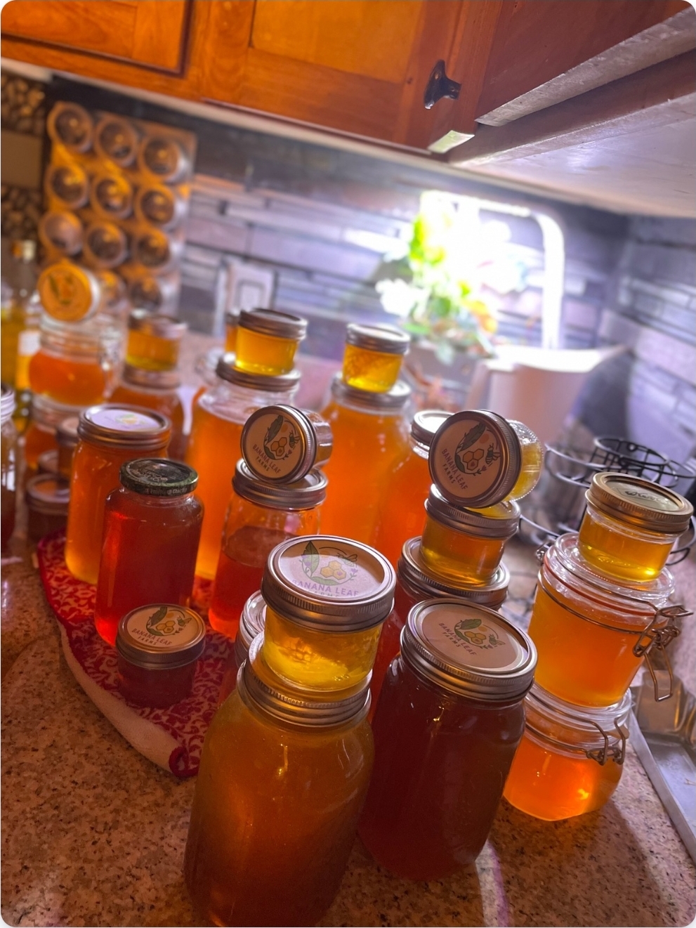 100lb+ Summer Harvest 2025
