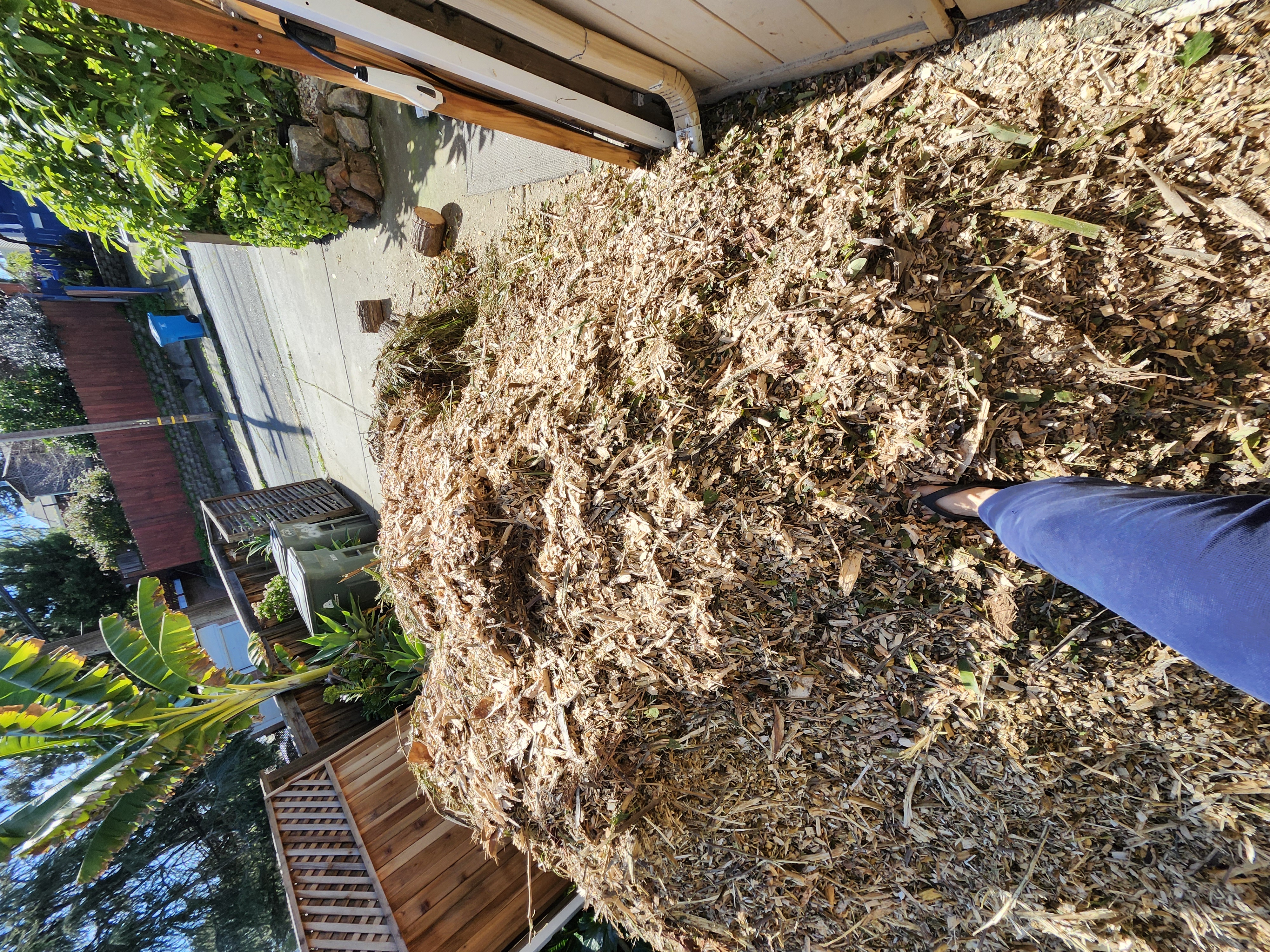 Chip Drop...Its serious mulch!