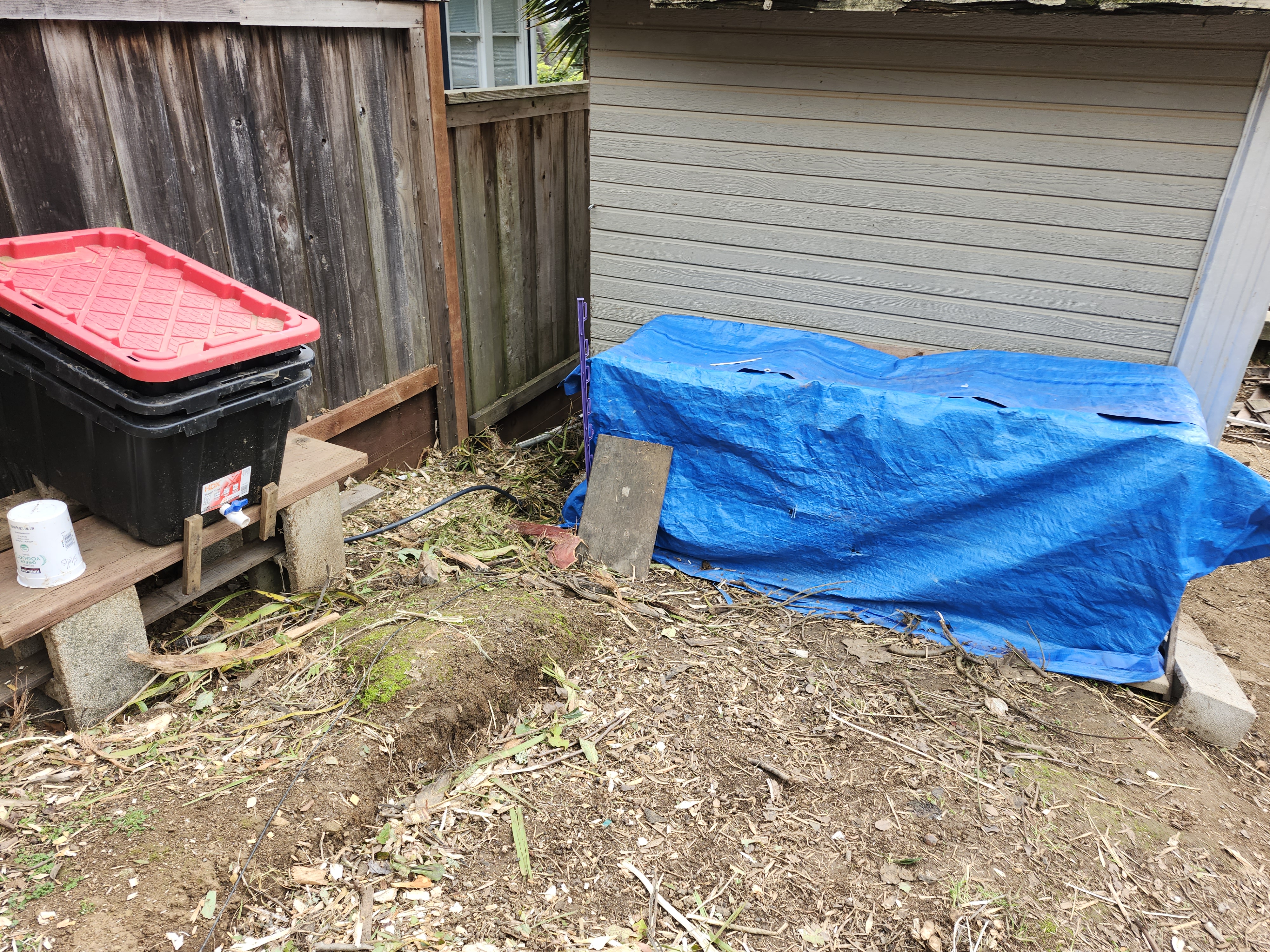 Vermicomposting