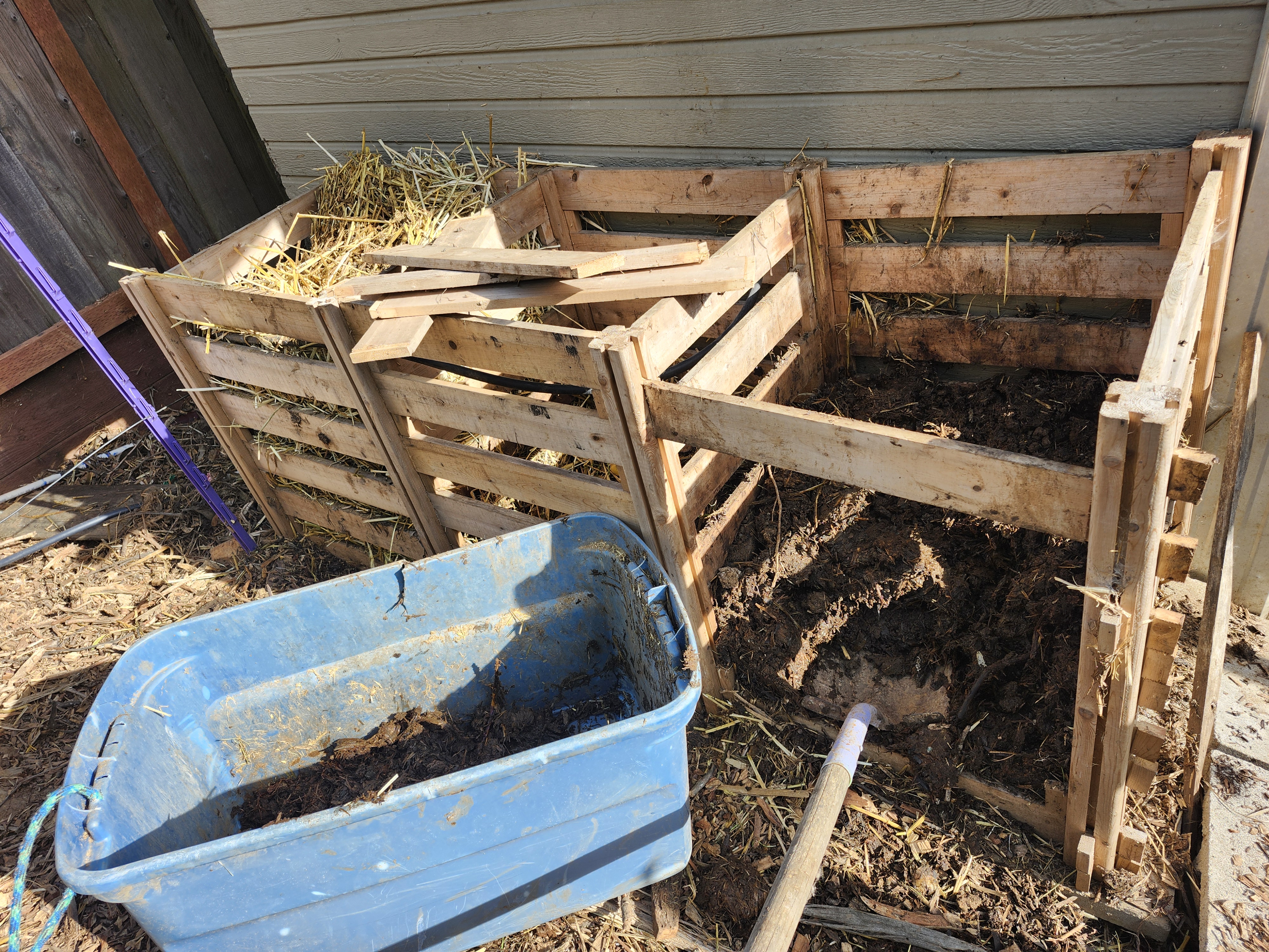 3 Bin Composting