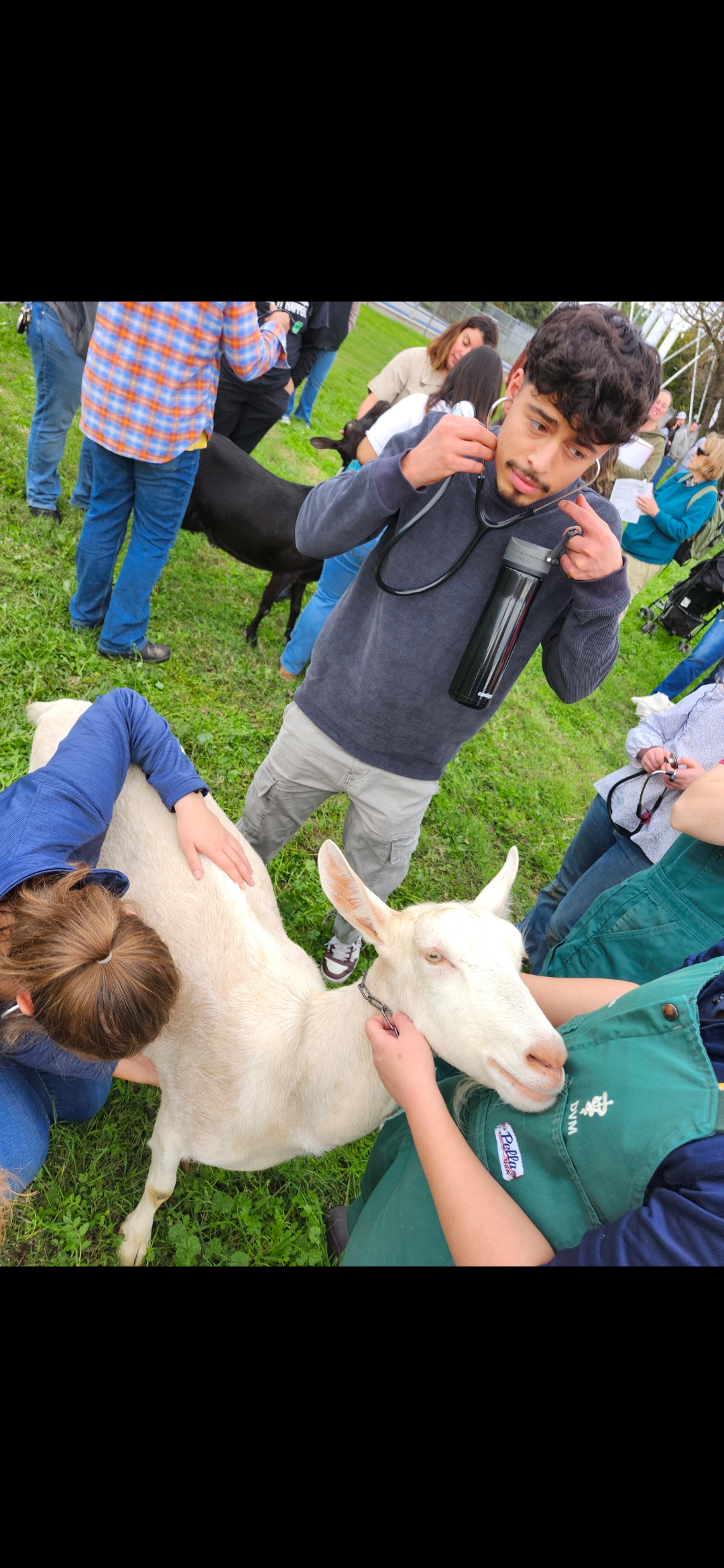 UC Davis Goat Day 2025