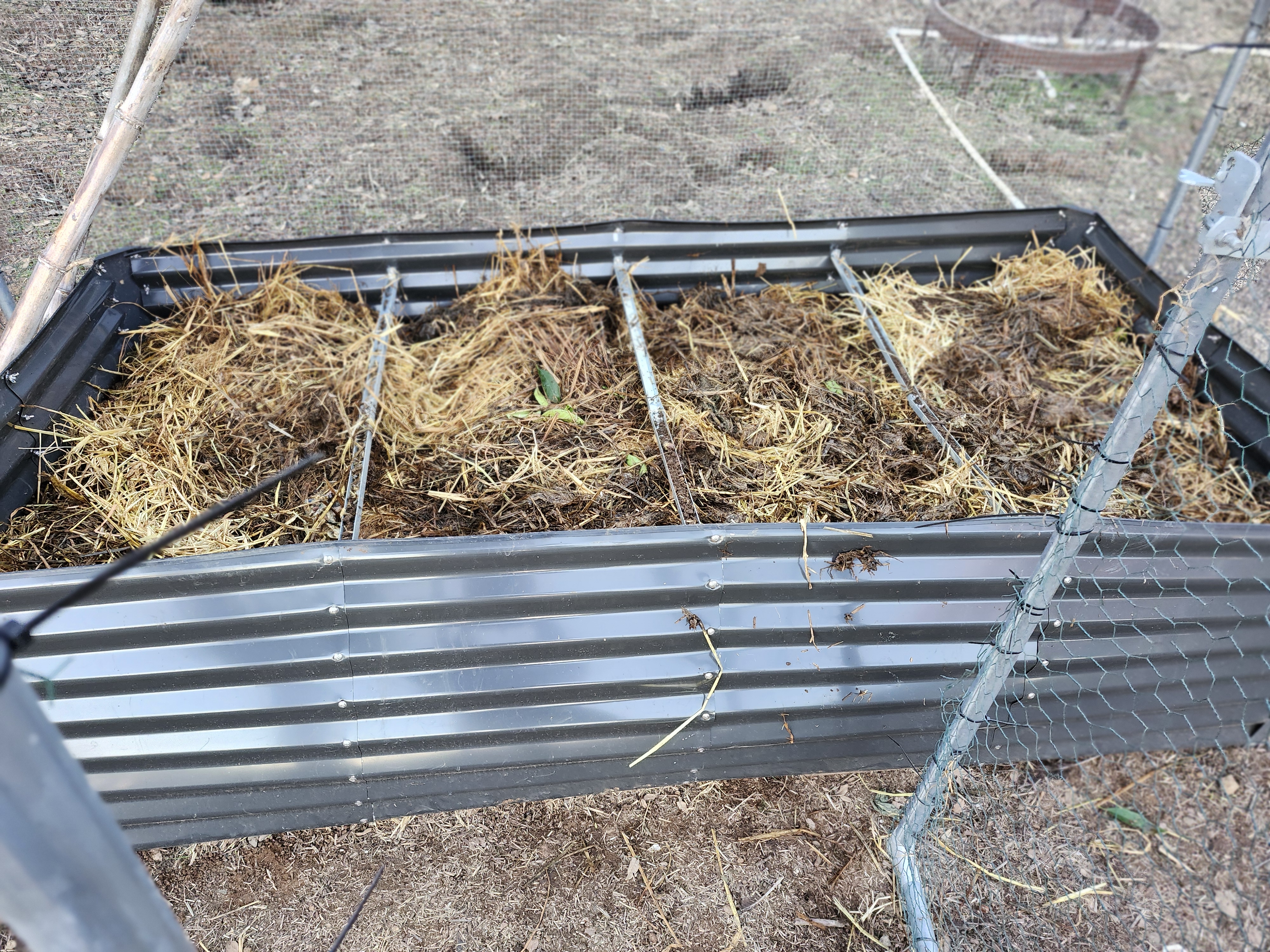 Veggie Garden Foundation 2026