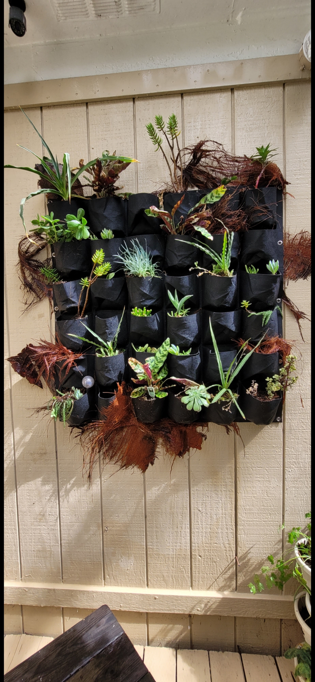 Hanging Gardens