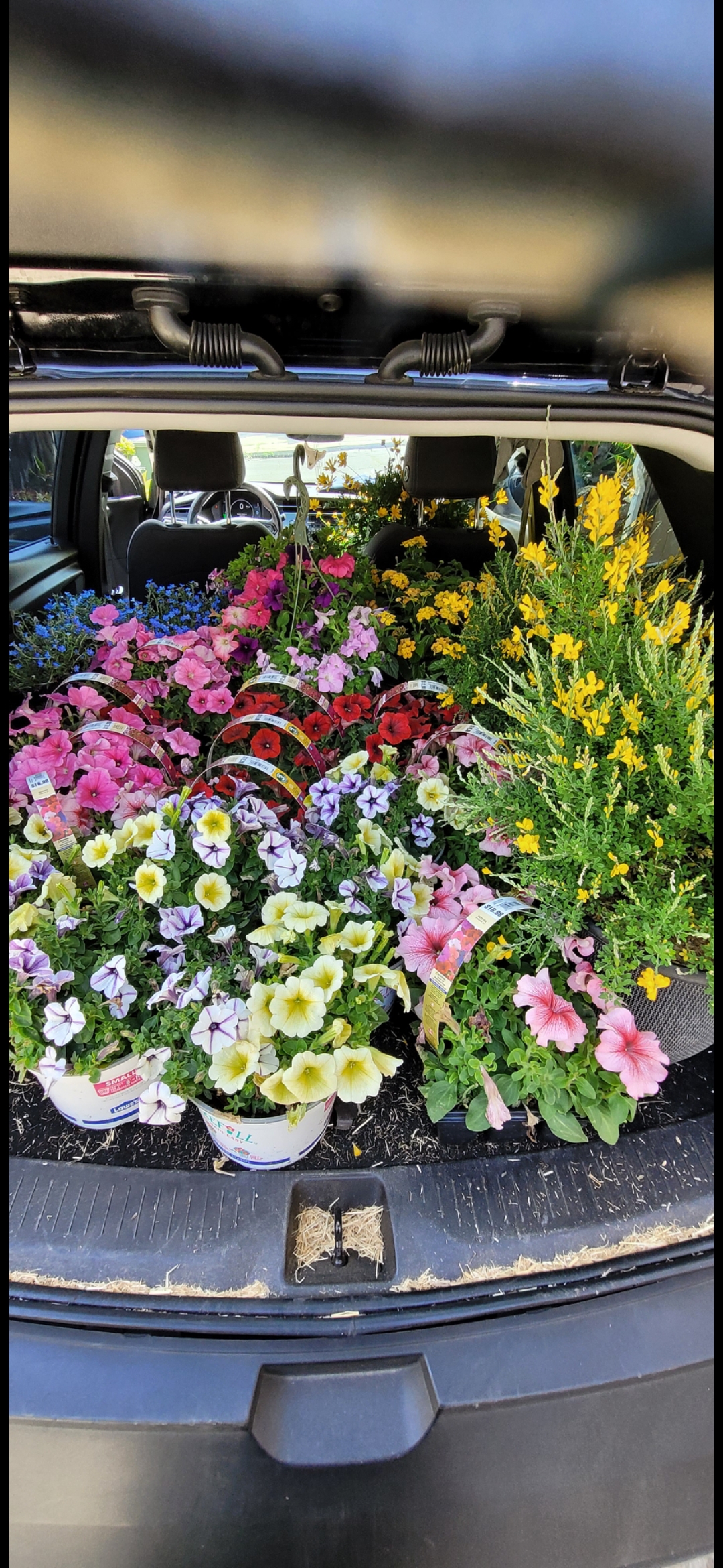 FLOWER POWER!