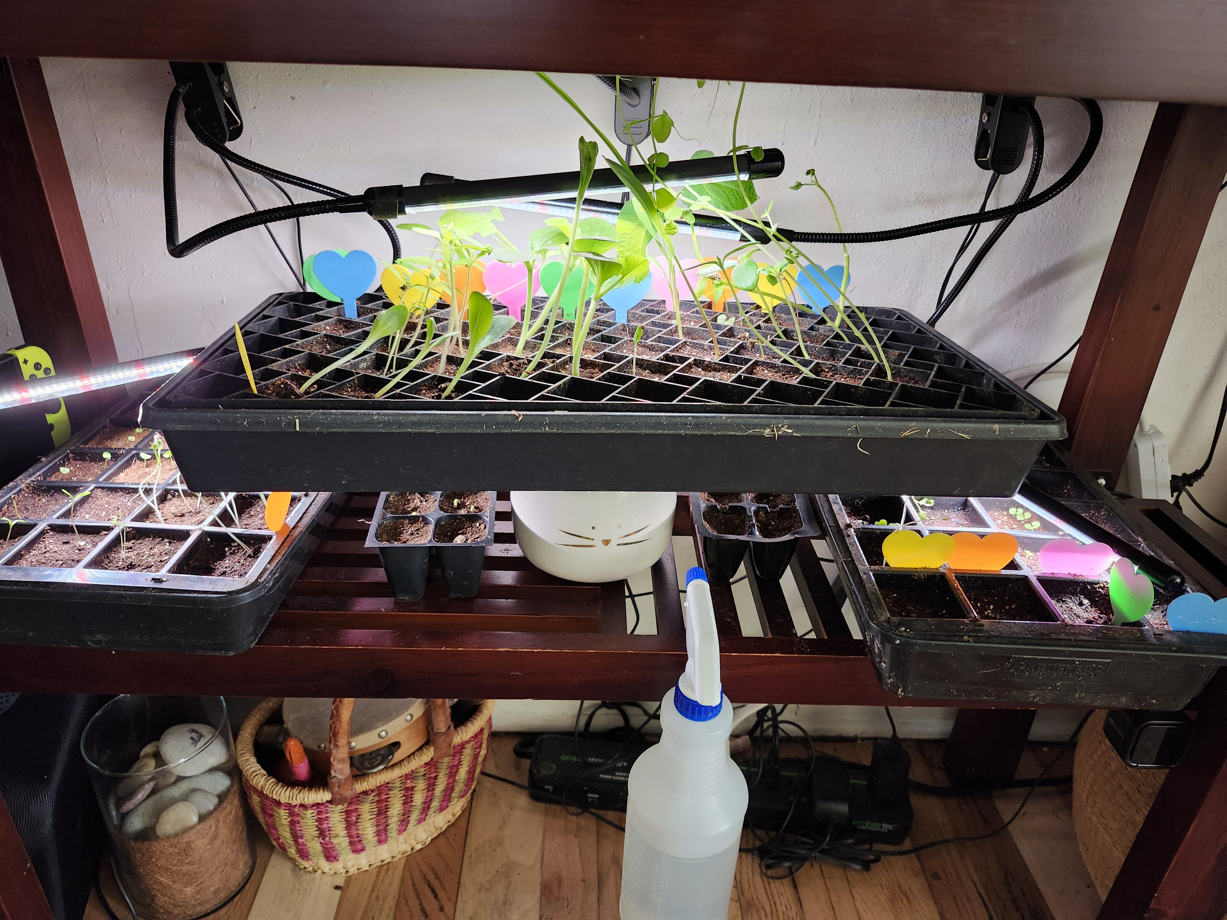 Garden Season Opening