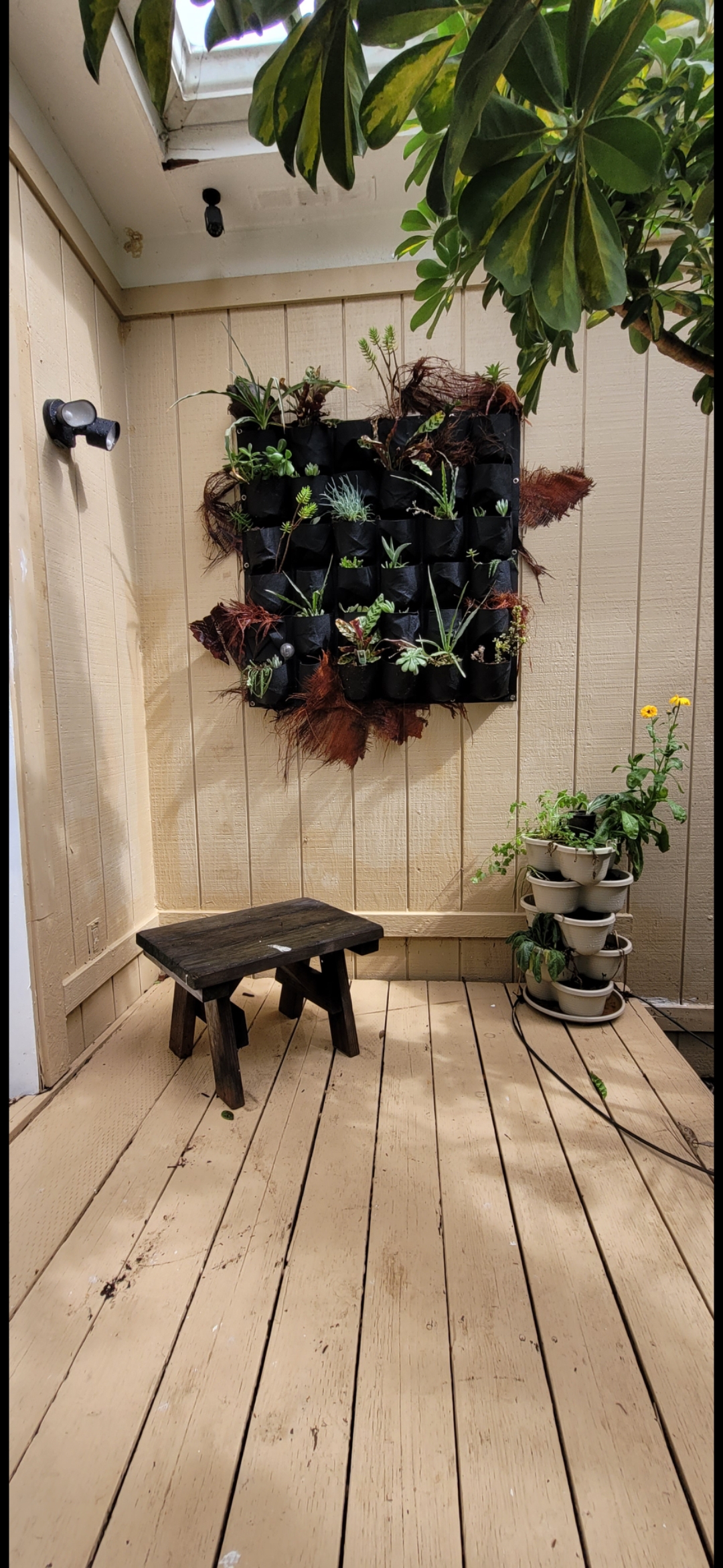 Garden Walk